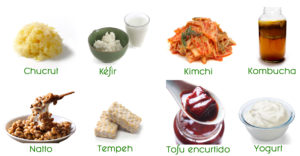 benefícios dos alimentos fermentados